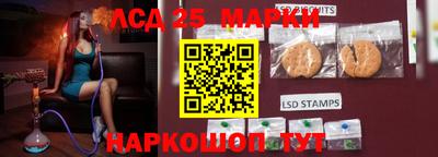 крисы Кулебаки