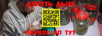 крисы Кулебаки