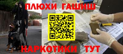 крисы Кулебаки