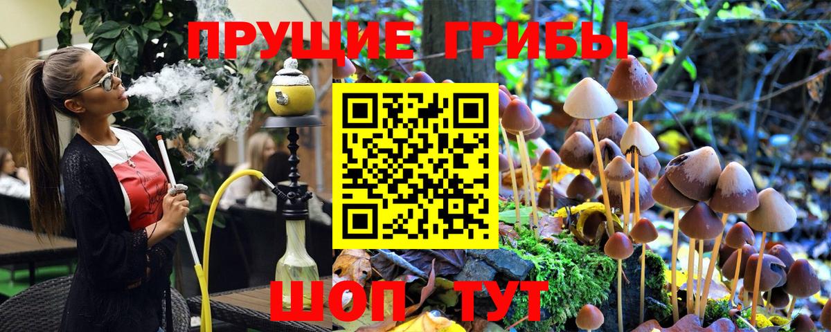 Избербаш  Галлюциногенные грибы Psilocybine cubensis  Вход с VPN 